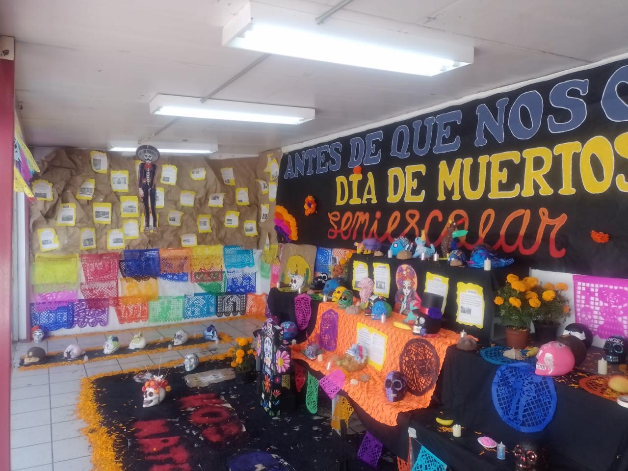 WhatsApp Image 2025-11-04 at 1.18.49 PM (1).jpeg