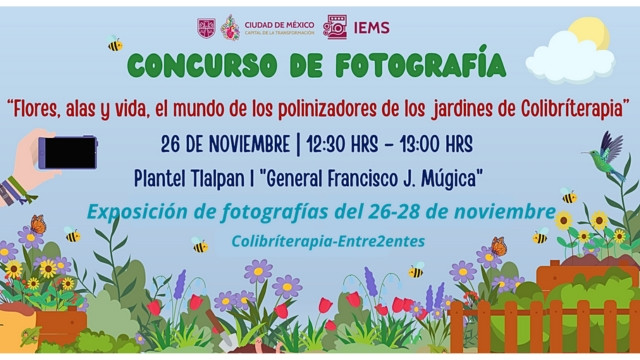 formato pagina web -3.jpg